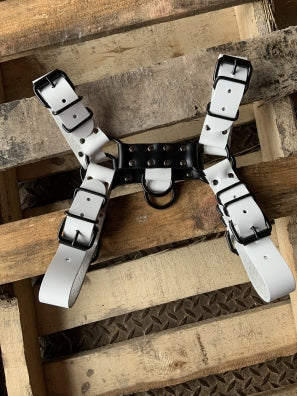Wht/Blk Leather D-ring Bull Dog Harness
